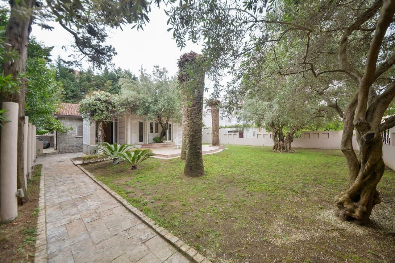 بودفا Villa Montenegro المظهر الخارجي الصورة
